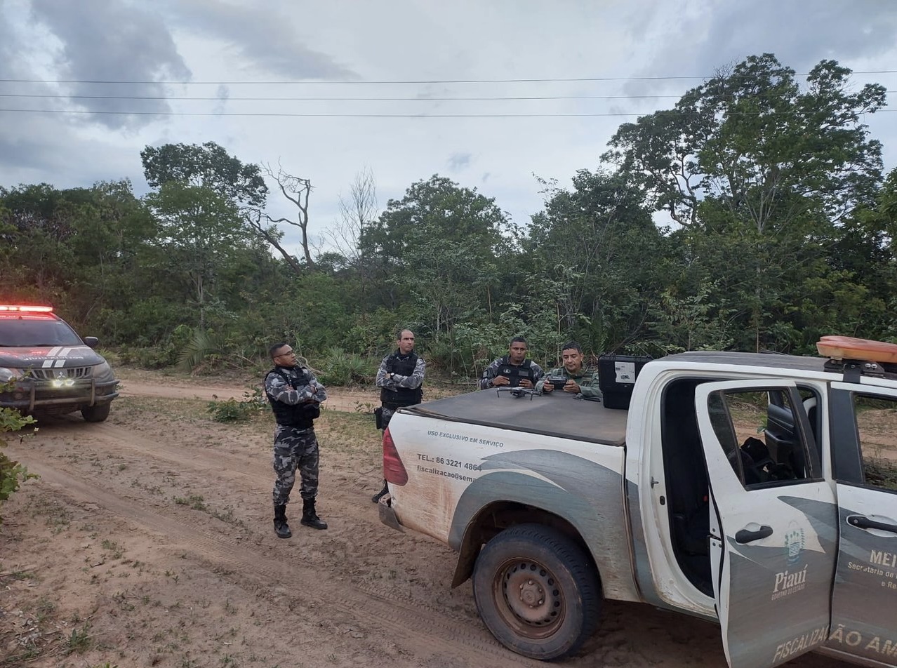 Polícia investiga desmatamento e grilagem em reserva indígena EL PIAUÍ